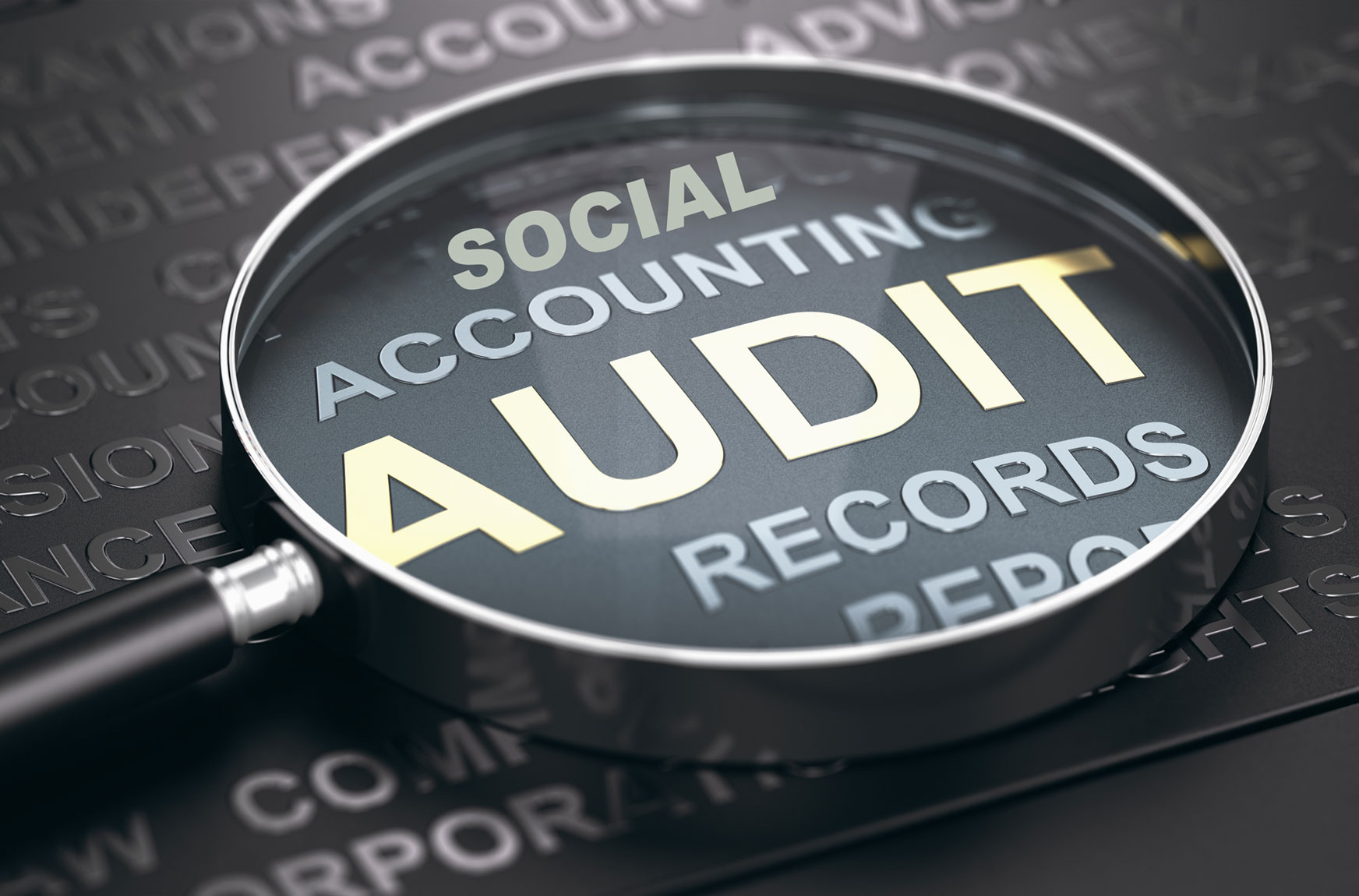 Social Accounting and Audit